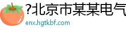 ?北京市某某电气运营部